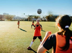 Estoturf Guide: Complete Overview Of Estoturf Predictions And Turf Insights